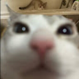 Meet your Posher, Veronika